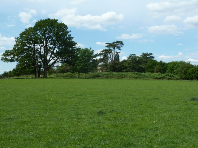 Croome Landscape Park 037 (640x480)