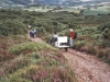 exmoor1