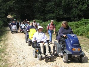 2006 New Forest