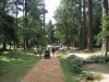newforest06_16