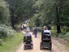 newforest06_40