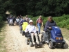newforest06_49
