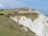 southdowns06_33