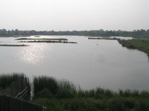 2007 Barns Wetland Centre, London