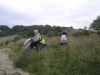 chilterns-07-3441-m