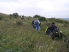 chilterns-07-3443-m