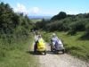 dorset-07-7083-m