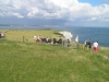 dorset-07-7112-m