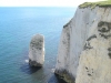 dorset-07-7116-m