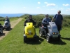 dorset-07-8301-m
