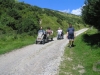 dorset-07-8307-m