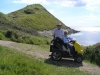 dorset-07-8313-m