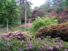windsor_great_park_ramble07-141-m
