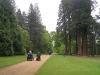 windsor_great_park_ramble07-143-m