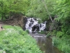 windsor_great_park_ramble07-147-m