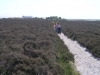 dunwichramble-08_10