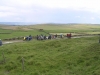 peakdistrict-07-18062-m