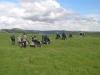 peakdistrict-07-18083-m