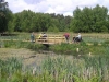 rendlesham-forest-08_10