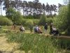 rendlesham-forest-08_12