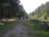 rendlesham-forest-08_13