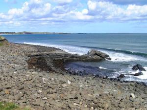 2009 Craster