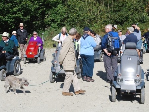 2009 Mortimer Forest