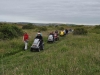 braunton-burrows-1
