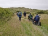 braunton-burrows-10