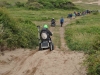 braunton-burrows-11
