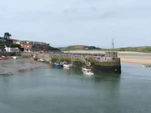 2010 Camel Trail
