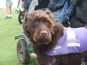 2010 Cleeve Common