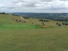 dscf1513