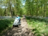 forest-of-dean-dr-008