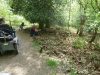 forest-of-dean-dr-042