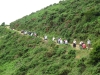on-the-way2