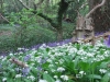 tyneham-ramble-2010-097
