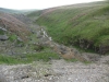 northern-rambles-227-sm