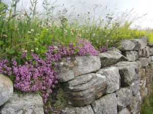2011 Hadrian's Wall