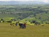 hergest-ridge-08