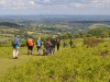 hergest-ridge-12