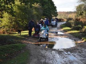 2011 New Forest