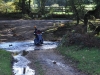 new-forest-07