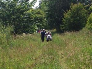 2011 Smardale Fell