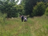 smardale-fell-4