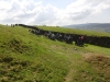 winder-hill-kirkby-viaducts-017-sm