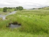 baldersdale-barnard-castle-034