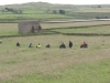 baldersdale-barnard-castle-069