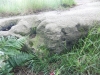 bidstone-discovery-055