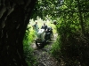 bidstone-discovery-069
